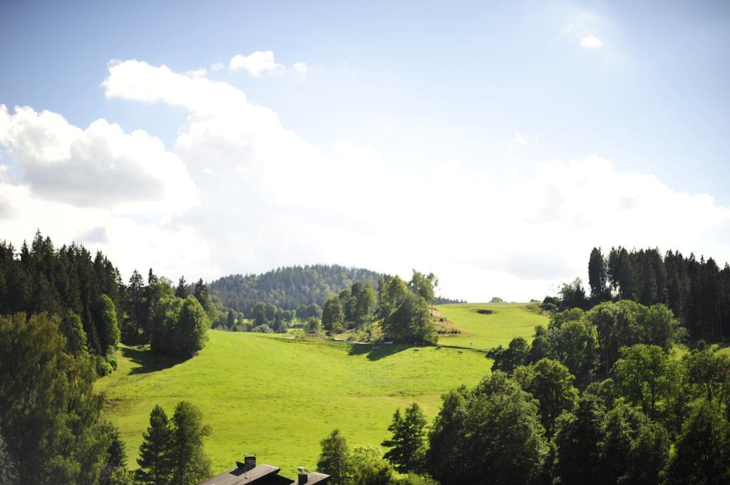 Ferien Residenz Bergfried Hotel Hinterzarten Luaran gambar